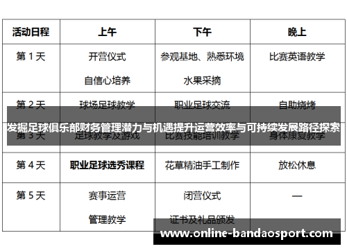 发掘足球俱乐部财务管理潜力与机遇提升运营效率与可持续发展路径探索