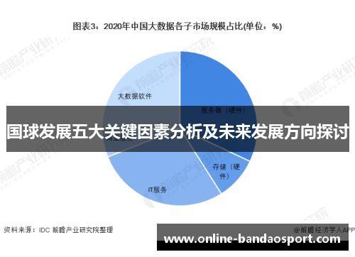 国球发展五大关键因素分析及未来发展方向探讨