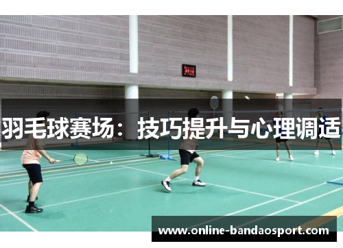 羽毛球赛场：技巧提升与心理调适