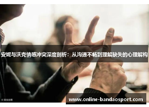安妮与沃克情感冲突深度剖析：从沟通不畅到理解缺失的心理解构