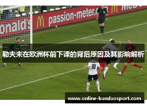 勒夫未在欧洲杯前下课的背后原因及其影响解析