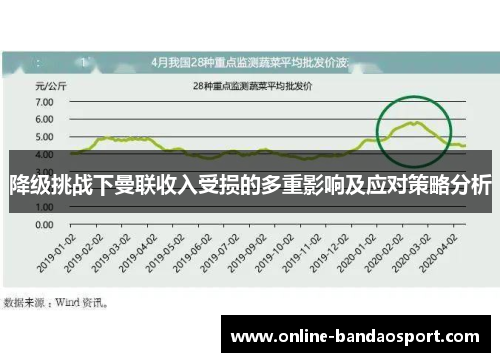 降级挑战下曼联收入受损的多重影响及应对策略分析