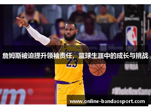 詹姆斯被迫提升领袖责任，篮球生涯中的成长与挑战