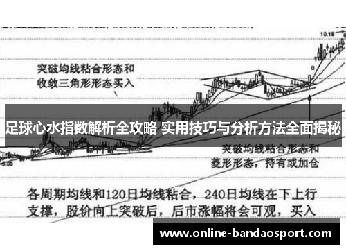 足球心水指数解析全攻略 实用技巧与分析方法全面揭秘