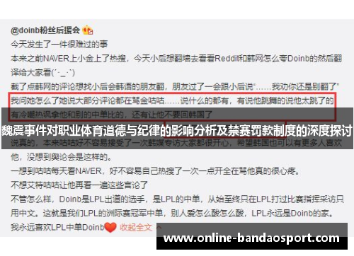 魏震事件对职业体育道德与纪律的影响分析及禁赛罚款制度的深度探讨